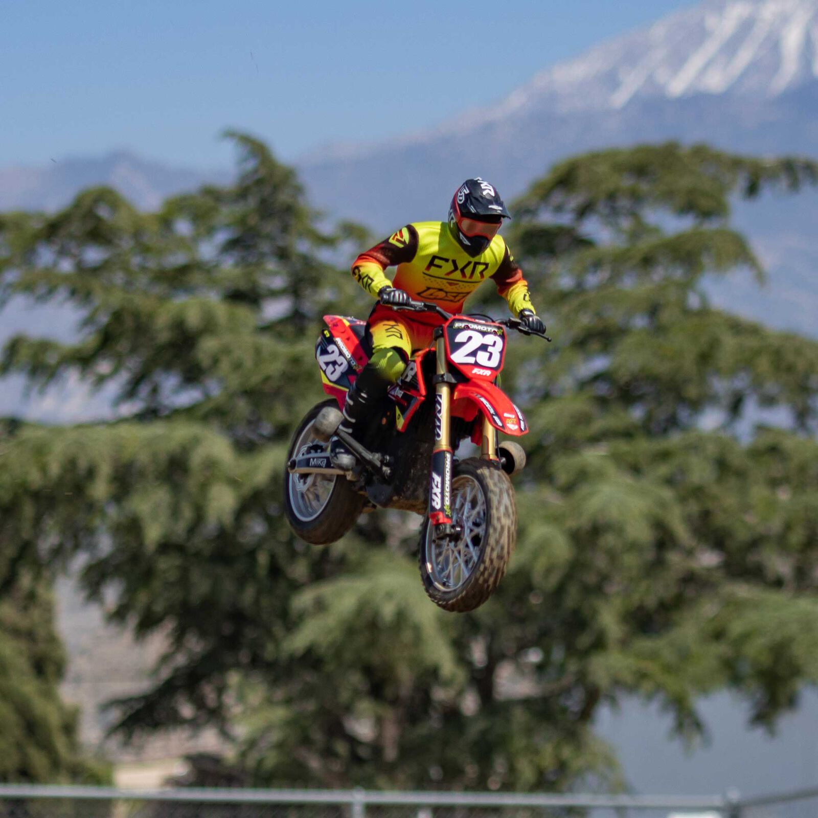 LOSI 1/4 PROMOTO-MX MOTORCYCLE - Image 16