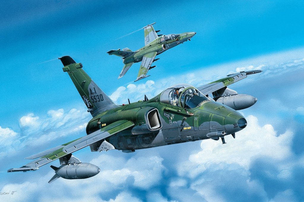 HOBBY BOSS A-1A GROUND ATTACK AIRCRAFT - Image 2