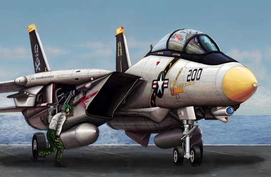 TRUMPETER F-14A TOMCAT - Image 2