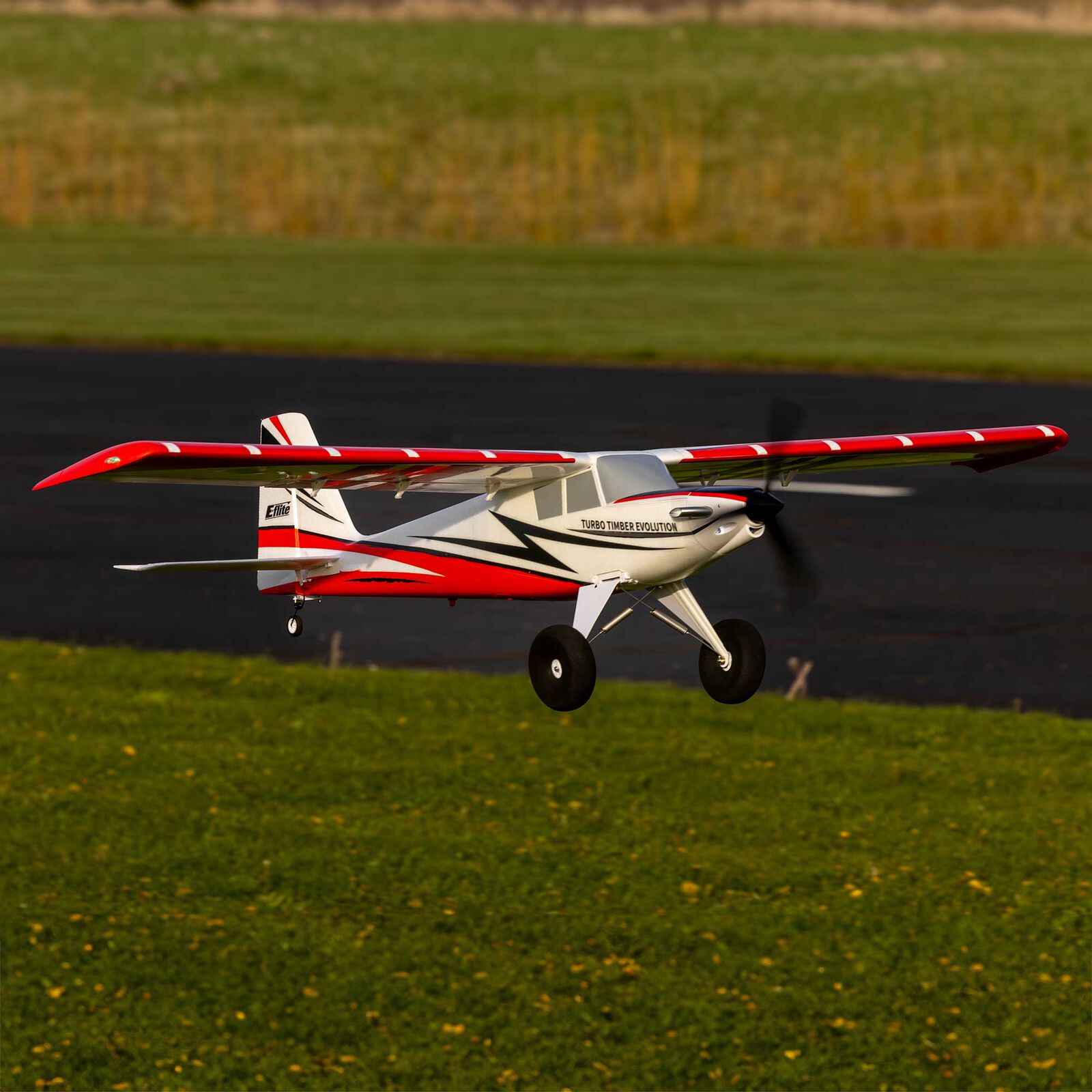 E-FLITE TURBO TIMBER EVOLUTION 1.5M PNP, INCLUDES FLOATS (2024 VER.) - Image 4